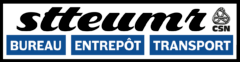 Logo officiel STTEUMR